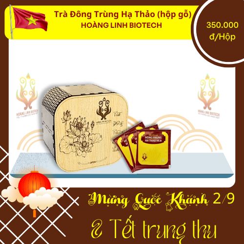 Trà túi lọc Đông Trùng Hạ Thảo Hộp Gỗ (20 gói) - Hình 1