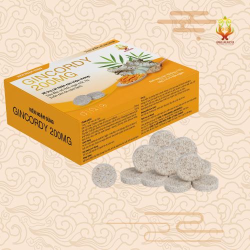 Viên ngậm gừng Gincordy 200mg (dạng vỉ) - Hình 3