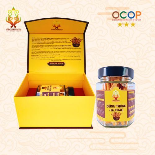 Đông Trùng Hạ Thảo Khô (10gr) - Hình 3