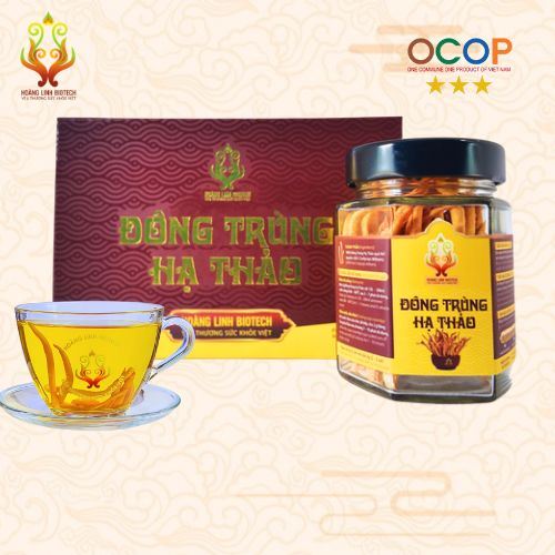 Đông Trùng Hạ Thảo Khô (10gr) - Hình 5