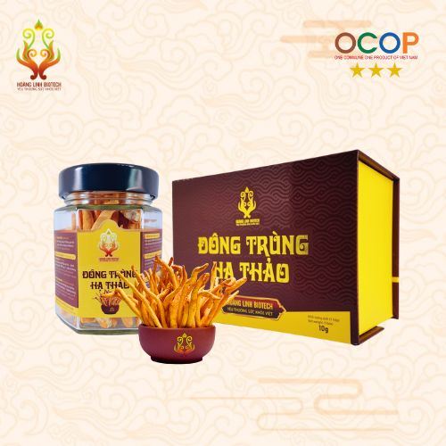 Đông Trùng Hạ Thảo Khô (10gr)