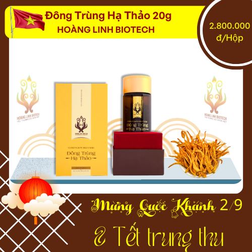 Đông Trùng Hạ Thảo - Quả Thể (20gr)