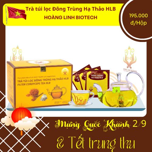 Trà Túi Lọc Đông Trùng Hạ Thảo HLB (20 gói)